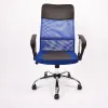 Adjustable Mesh Office Chair