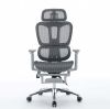 Mesh Office Chair OS062