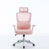 Mesh Office Chair OS100