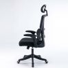 Mesh Office Chair OS100-Black